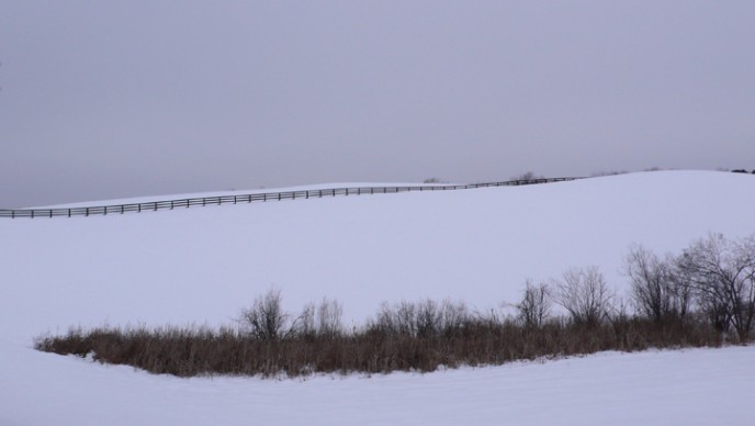 winter's fence